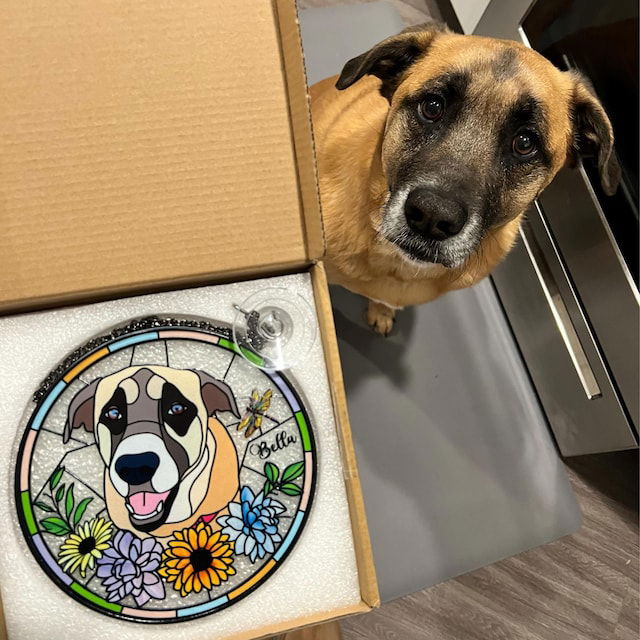 Custom Pet Portrait Picture Suncatcher, Gifts For Pet Lovers SC112 - 19Gifts