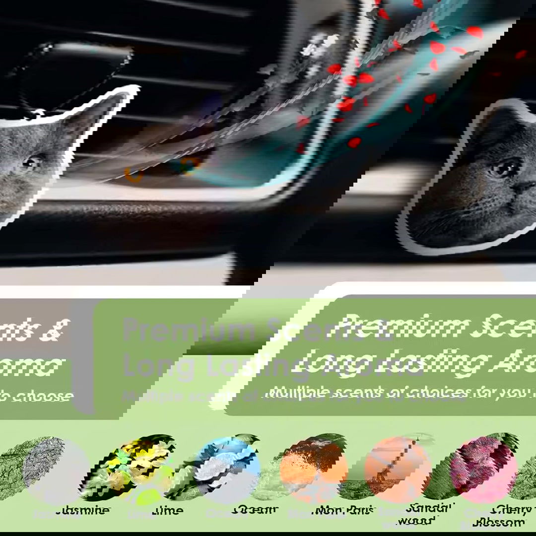 Customized Car Air Freshener With Your Photo, Custom Record Player Car Air Freshener VR02 - 19Gifts