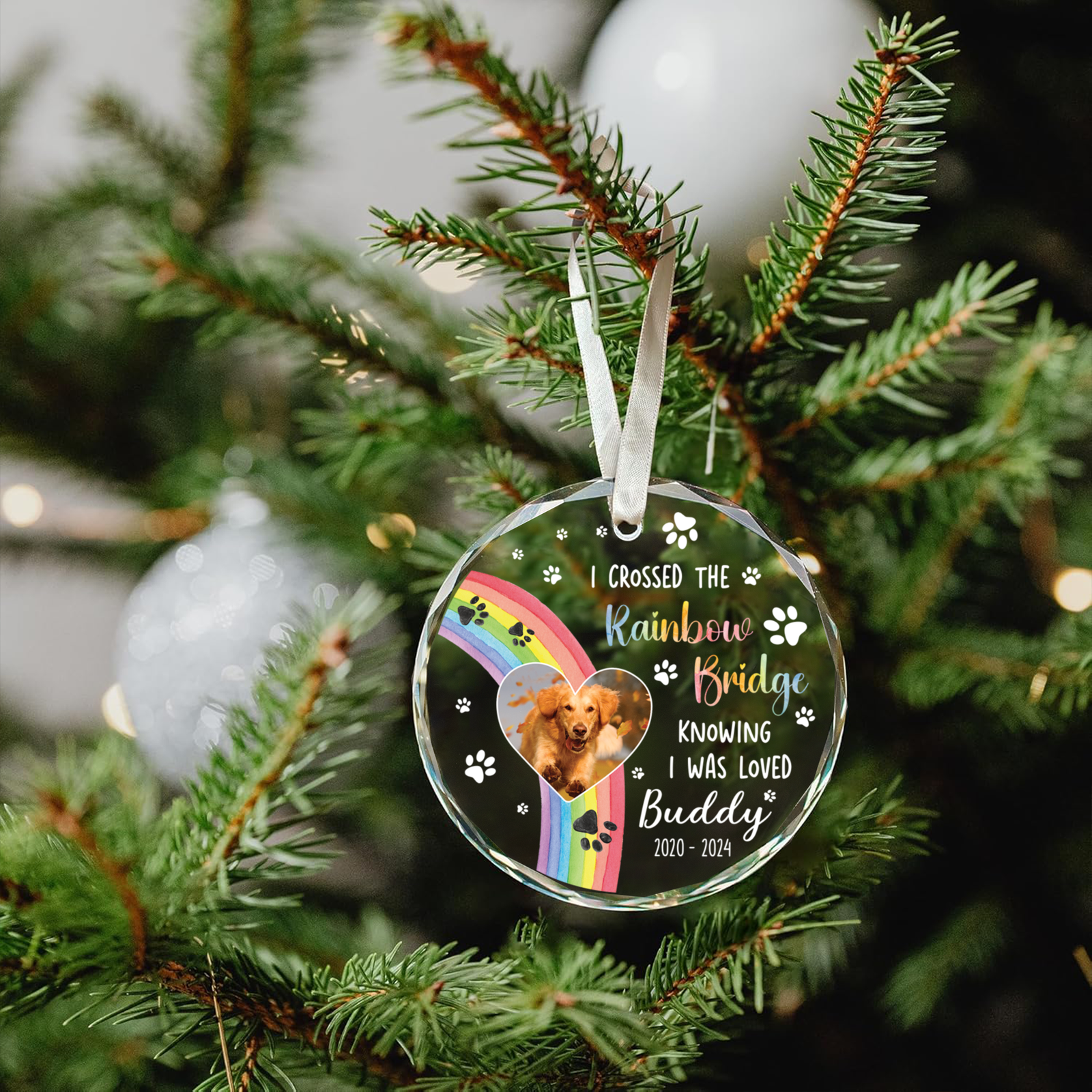 I Crossed The Rainbow Bridge Dog Photo - Personalized Circle Glass Ornament GX04 Style 11 - 19Gifts