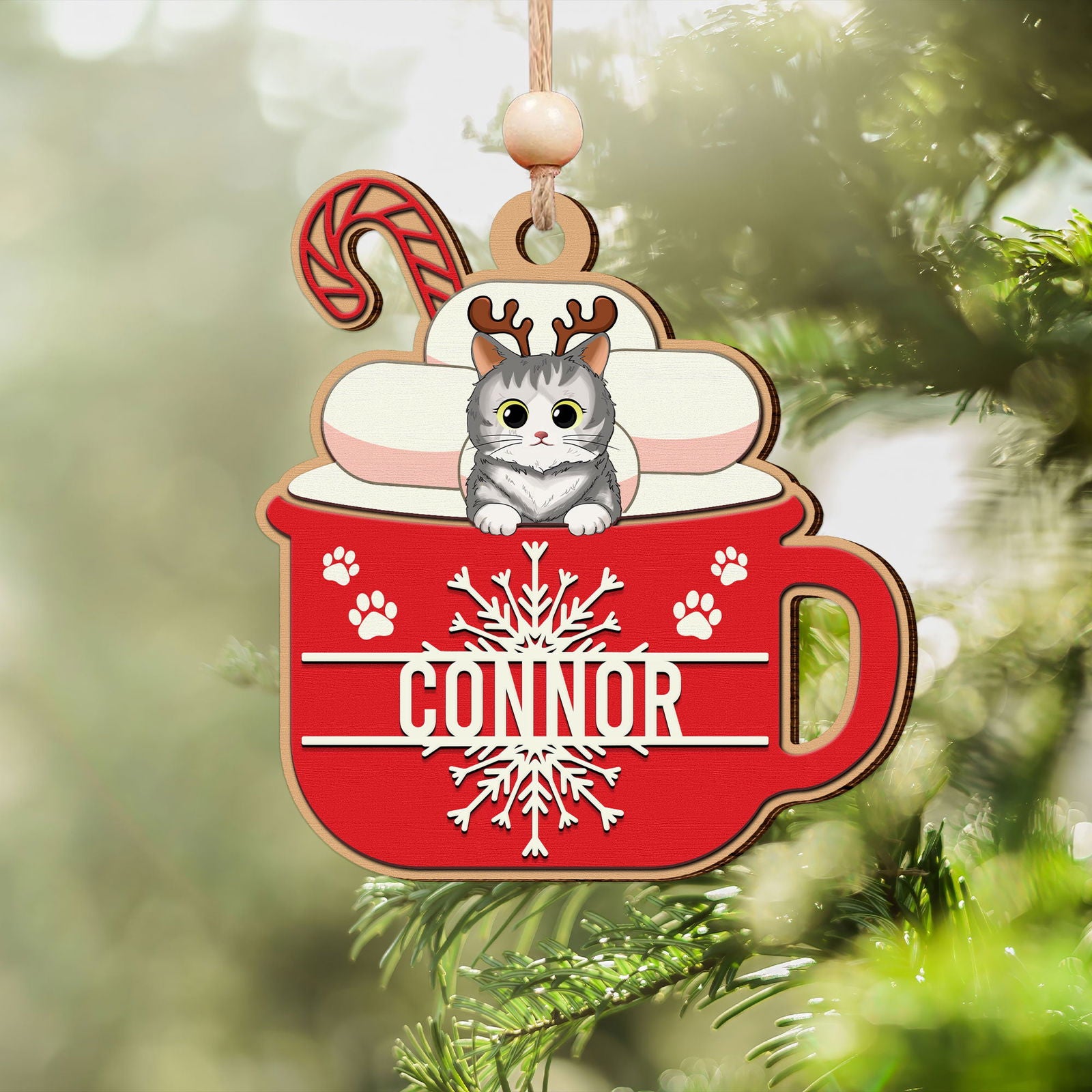 Personalized Cat Lover Ornament, Two Layer Christmas Pets Ornament, CF295 - 19Gifts