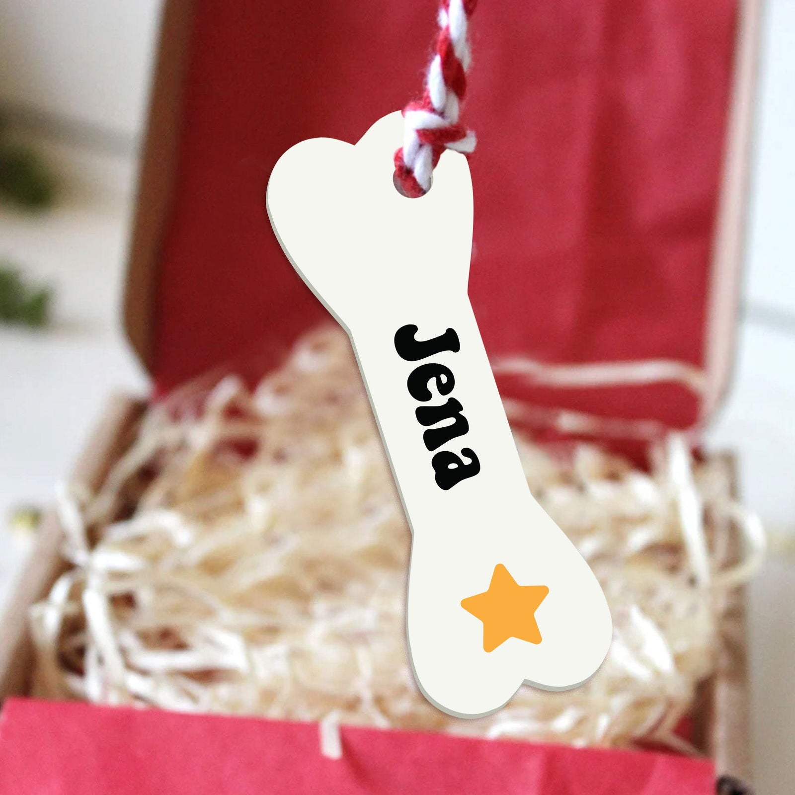 Personalized Christmas Dog Bone 2024 ornament, Personalized Pet ornaments CF28 - 19Gifts