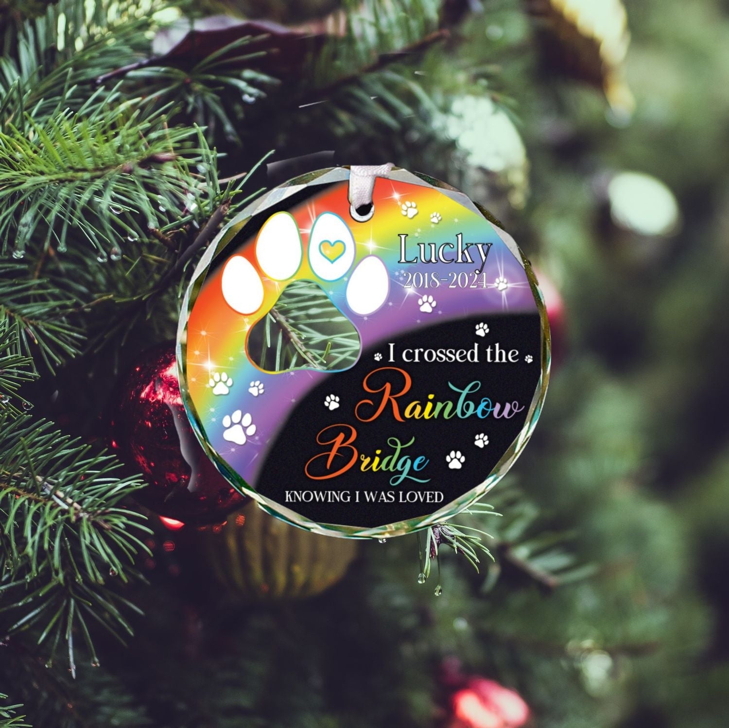 Personalized Pet 2024 Ornament, Pet Paw Ornament, Custom Pet Photo Christmas Ornament, Pet Lover 2024 Ornament, GX06-Style 49 - 19Gifts