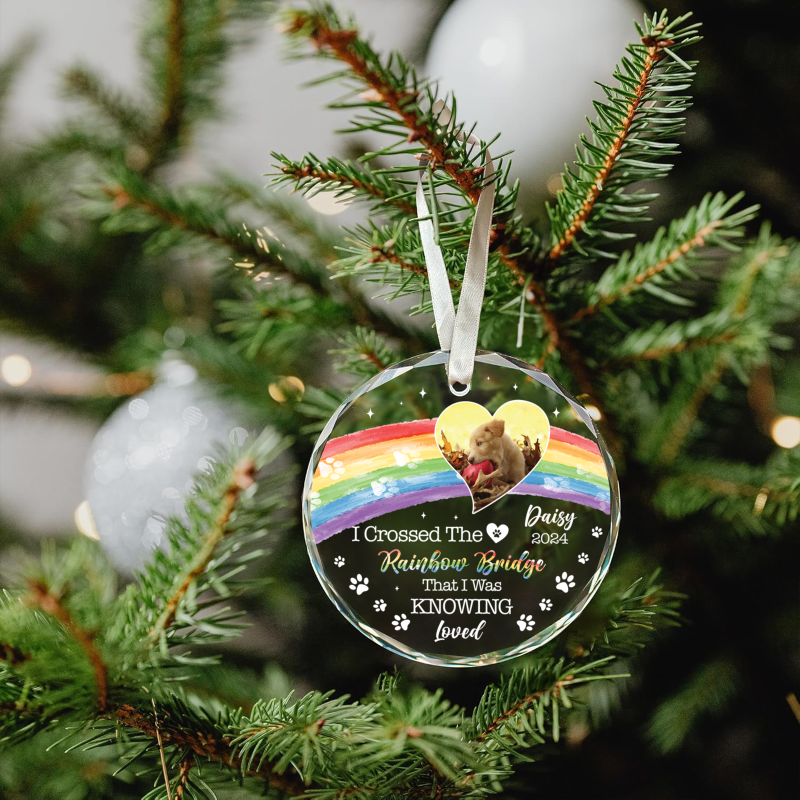 Personalized Pet Memorial Circle Glass Ornament - I Crossed The Rainbow Bridge Memorial Gift GX04 Style 13 - 19Gifts