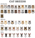 Personalized Pets Ornament, Christmas Ornament, Cat Ornament CF267 - 19Gifts